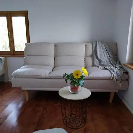 Secluded House Cove Donje More, Pasman - 20398